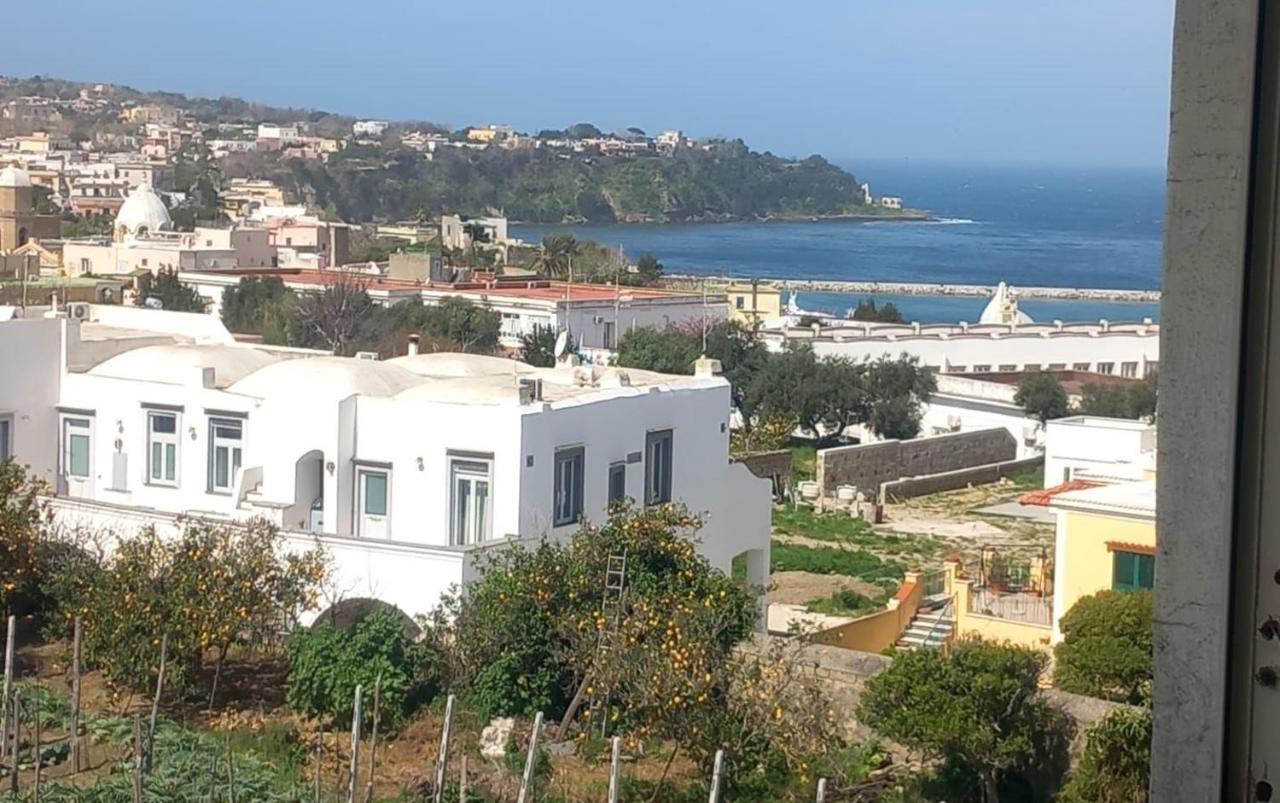 La Casa Dei Sogni Procida Exterior foto