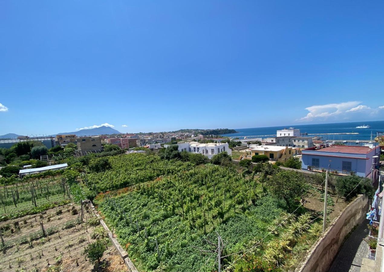 La Casa Dei Sogni Procida Exterior foto