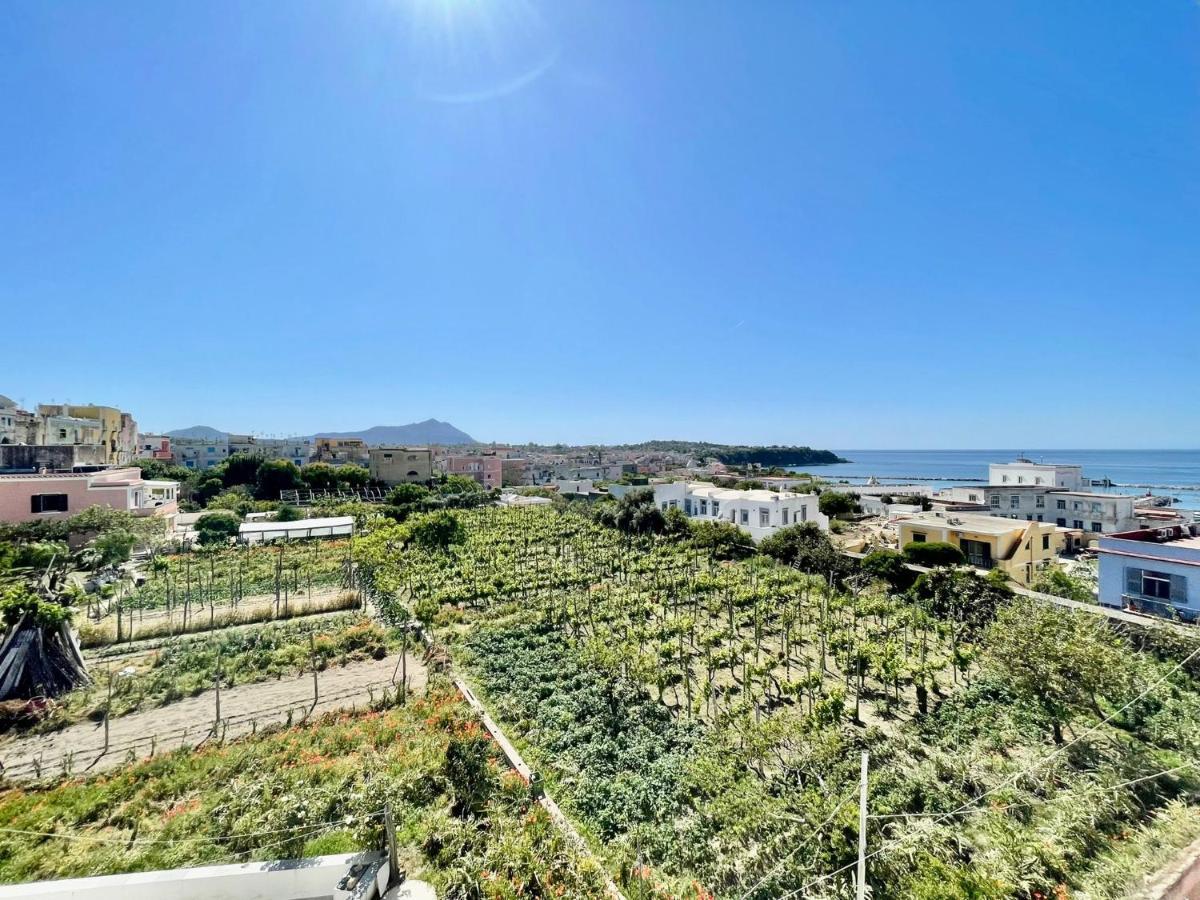 La Casa Dei Sogni Procida Exterior foto