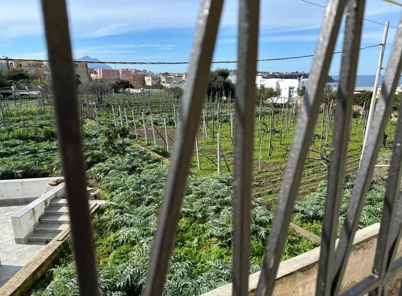 La Casa Dei Sogni Procida Exterior foto