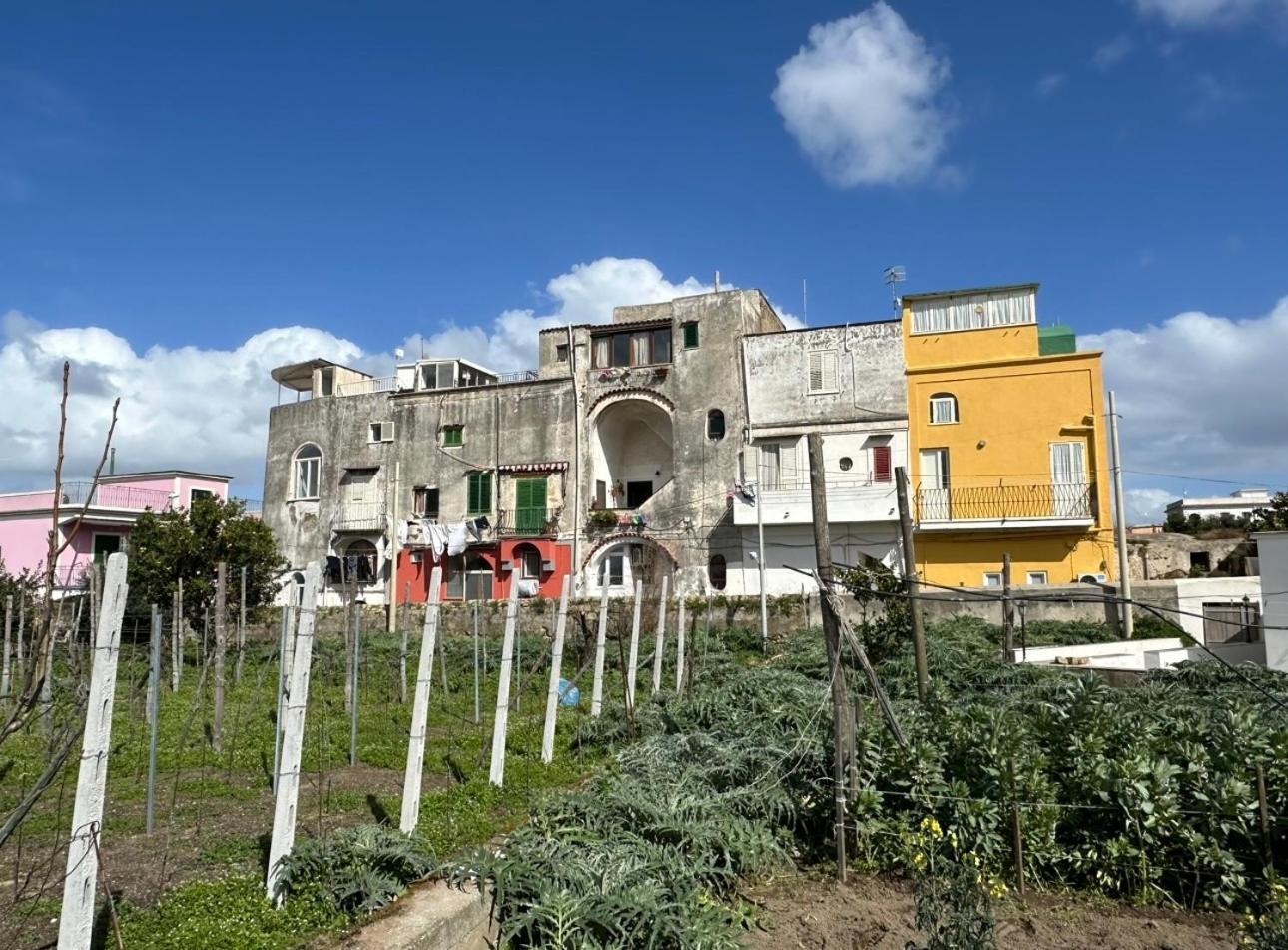 La Casa Dei Sogni Procida Exterior foto